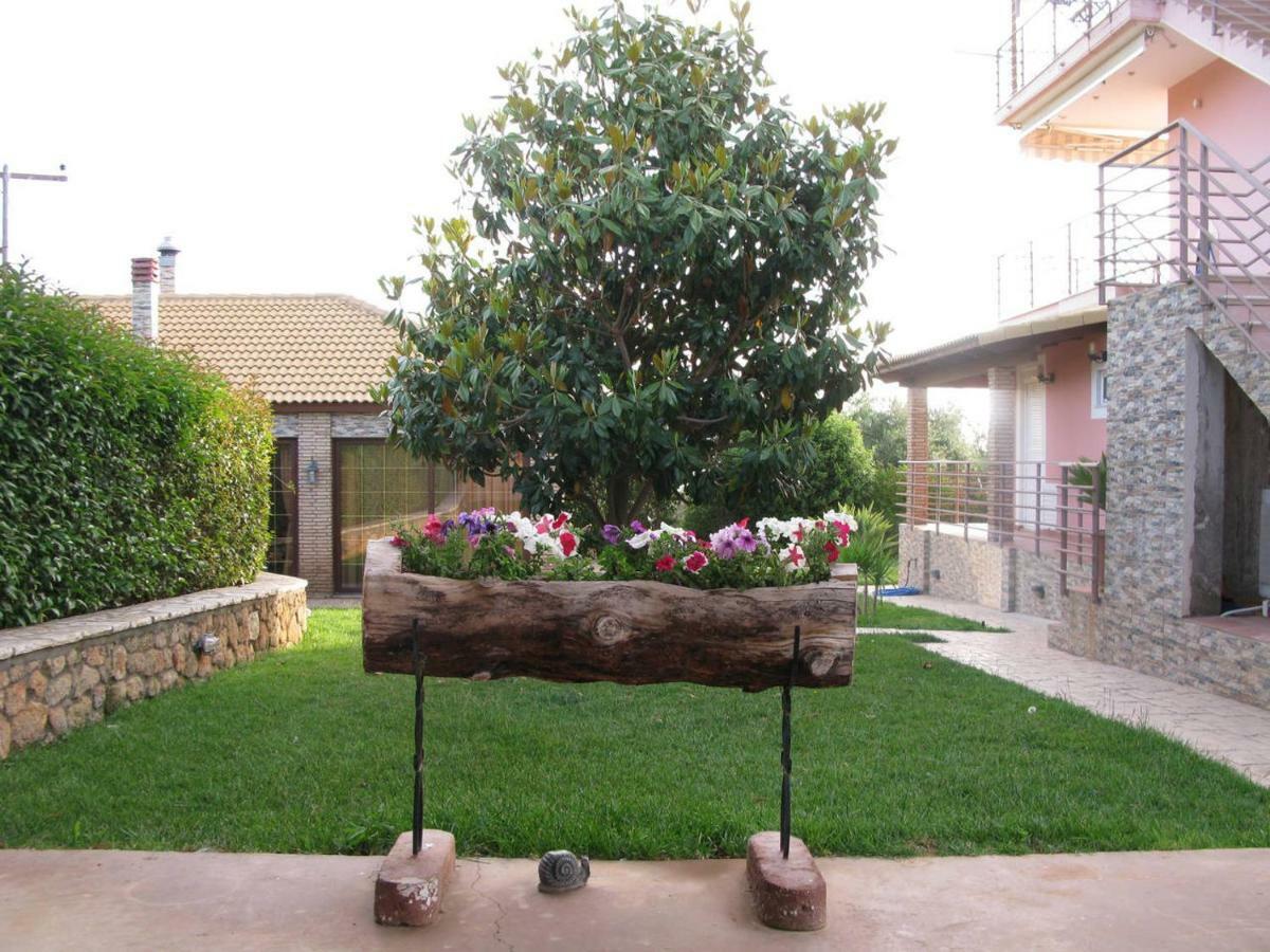 Cozy Flats In An Olive Grove By The Sandy Beach Kánalos Dış mekan fotoğraf
